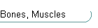 Bones, Muscles